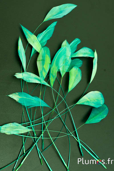 Coquetips - 13-18 cm - vert-jaune